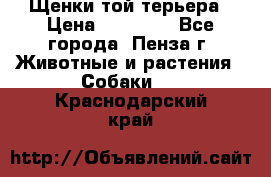 Щенки той терьера › Цена ­ 10 000 - Все города, Пенза г. Животные и растения » Собаки   . Краснодарский край